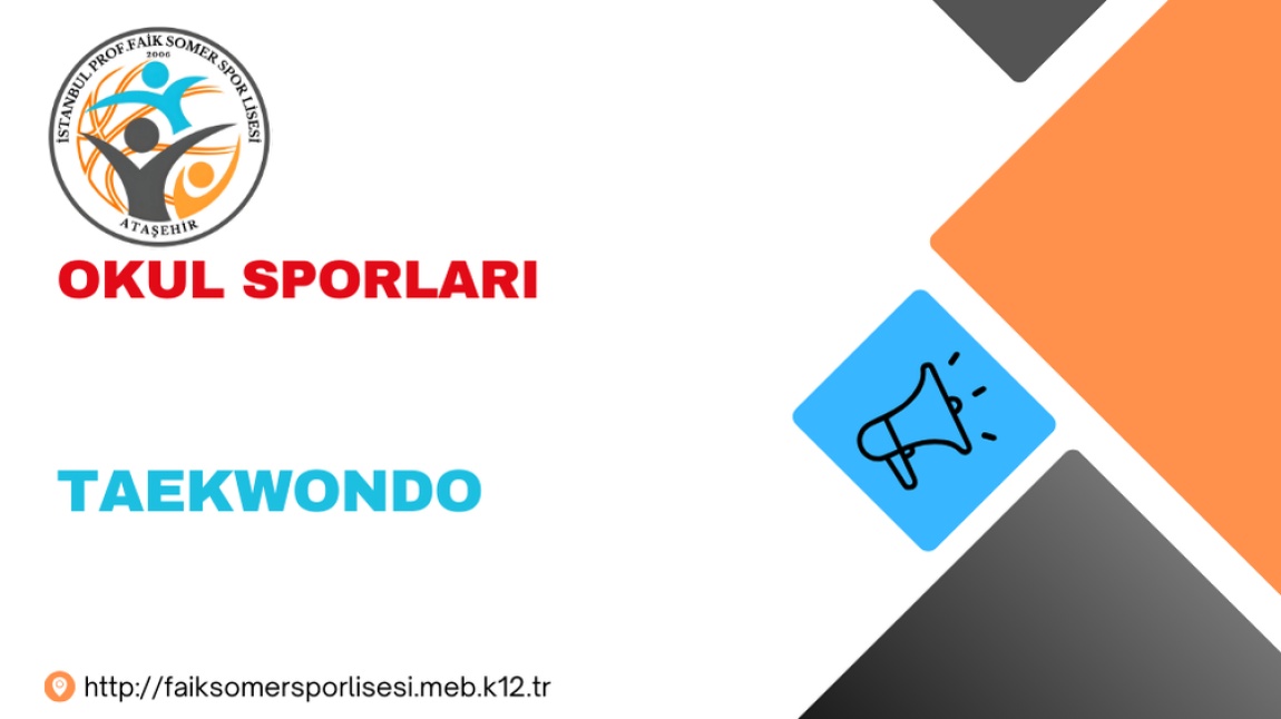 OKUL SPORLARI / TAEKWONDO